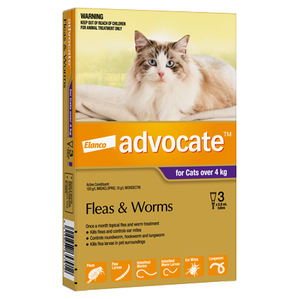 Advocate for Large Cats Over 4kg (3 PACK)