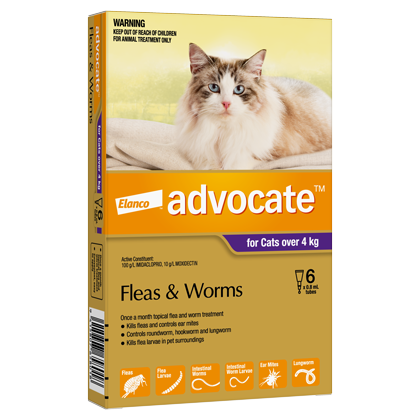 Advocate for Large Cats Over 4kg (6 PACK)