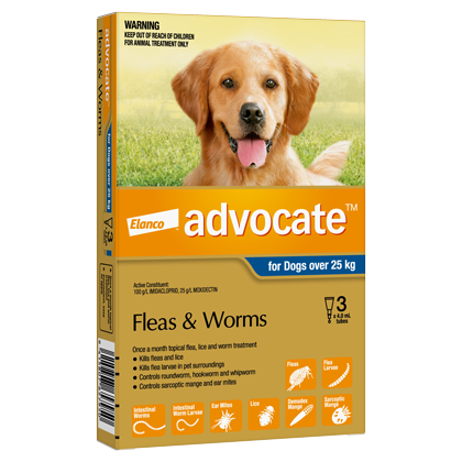 Advocate Dog over 25kg (3 PACK)