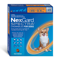Collection image for: Dogs