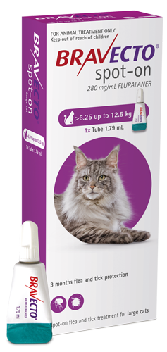 Bravecto Cat Large 6.5kg- 12.5kg