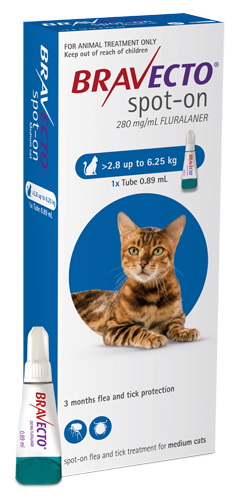 Bravecto Cat Medium 2.8kg – 6.25kg