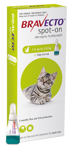 Bravecto Cat Small 1.2kg- 2.8kg