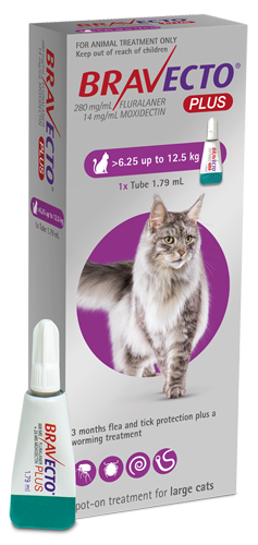 Bravecto Plus Large Cat (6.25kg-12.5kg)