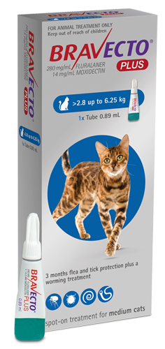 Bravecto Plus Medium Cat (2.8kg-6.25kg)