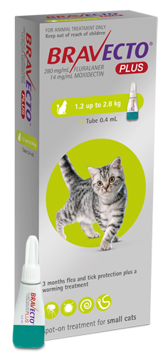 Bravecto Plus Small Cat (1.2kg-2.8kg)