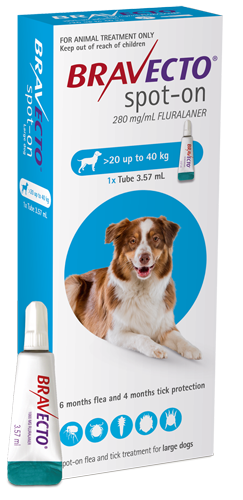 Bravecto Spot on for Dogs: 20-40kg